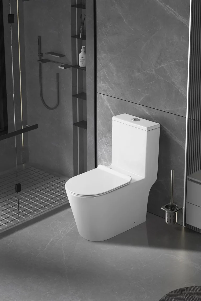 WhatsApp_Image_2024-10-10_at_12.11