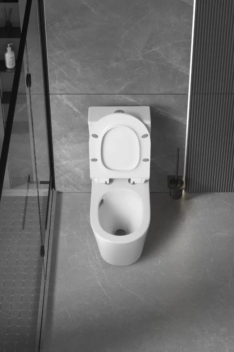 WhatsApp_Image_2024-10-10_at_12.11