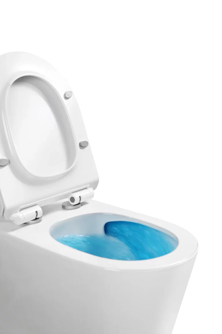 WhatsApp_Image_2024-10-10_at_12.11